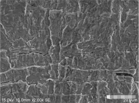 圖11 斷面B2區形貌