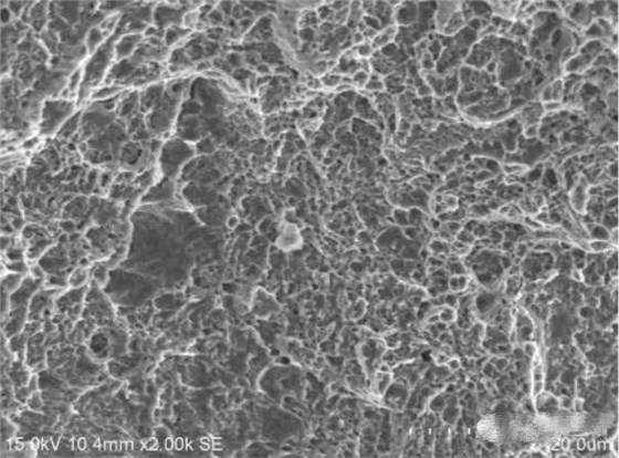 圖16 斷面D區微觀形貌