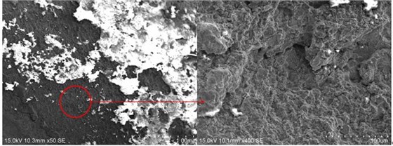 圖2 斷口源區(qū)宏、微觀形貌，沿晶特征+二次裂紋