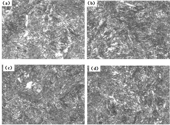 圖12-15 （a、b、c、d） 1～4號樣金相組織 500&times;