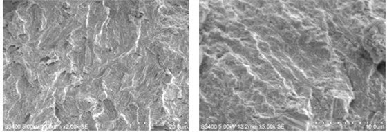 圖9-3 疲勞條帶及二次開裂 圖9-4 快速擴展區輪胎印狀形貌