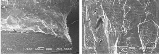 圖9-21 疲勞源區形貌 圖9-22 疲勞擴展區形貌