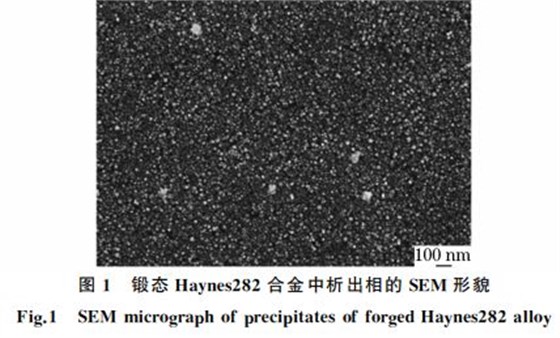 圖１ 鍛態 Haynes２８２合金中析出相的SEM 形貌