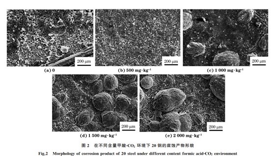 圖２ 在不同含量甲酸ＧCO２ 環境下２０鋼的腐蝕產物形貌