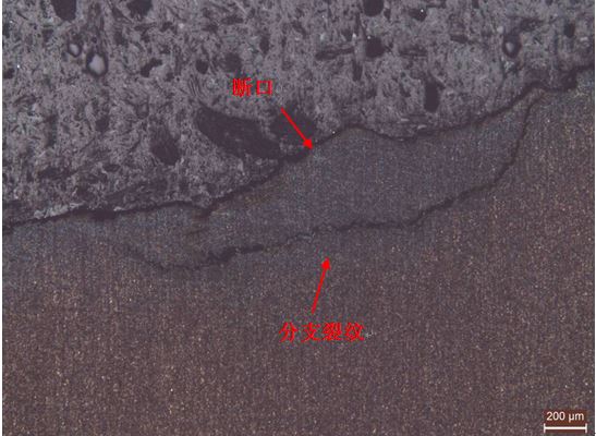 斷裂擴展區縱截面金相組織1