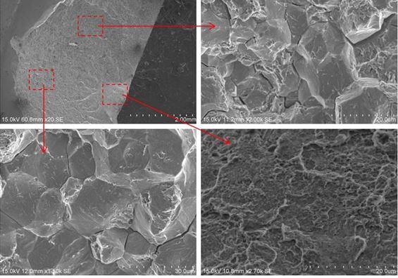 圖6 斷面B1區微觀形貌