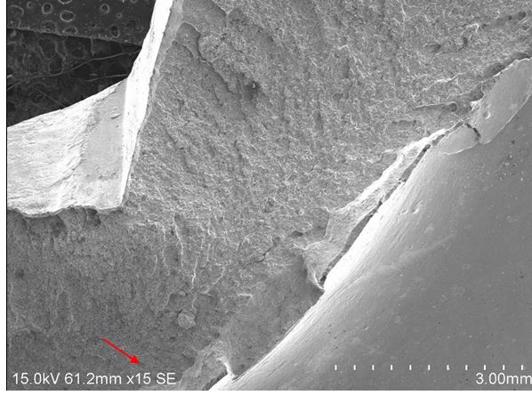 斷面B2區低倍形貌