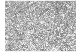 3Cr13螺栓調質金相組織200&times;