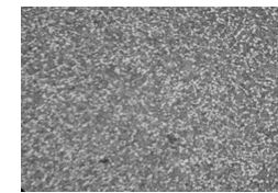 TC4鈦合金原材料金相組織400&times;