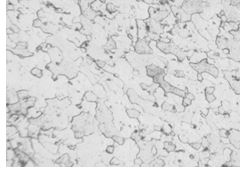 2A11合金原材料金相組織200&times;