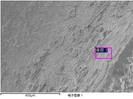 斷裂源區微觀形貌