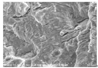 圖11-121 斷面F區的疲勞條帶