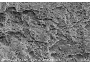圖11-123斷面H區微觀形貌
