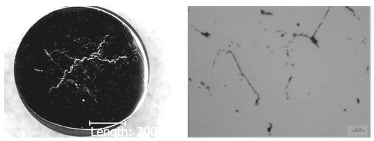 圖14-78 失效件拋光態低倍組織 圖14-79 失效件拋光態顯微組織