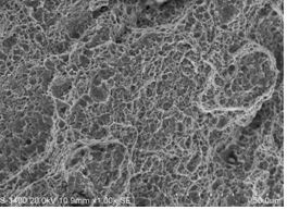圖11-68 斷面終斷區微觀形貌