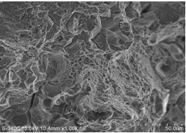 圖12-7 瞬斷區微觀形貌
