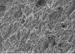圖11-188 斷面終斷區微觀形貌