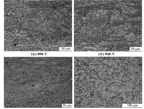 圖５ 在不同溫度、應變速率為０．０１０s－１下壓縮至應變量為７０％后GH４１６９合金的顯微組織