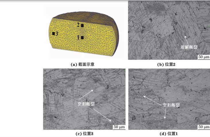 在９８０ ℃、應變速率為０．０１０s－１下壓縮至應變量為３０％后