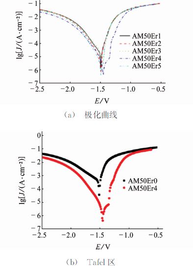 圖４ 不同Ｅｒ含量ＡＭ５０合金的極化曲線及Ｔａｆｅｌ區