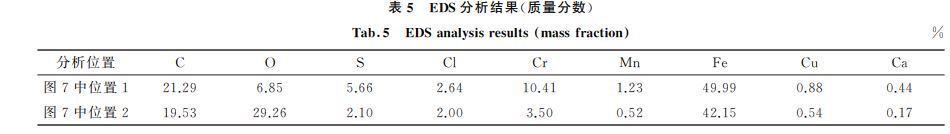 表５ EDS分析結果(質量分數)