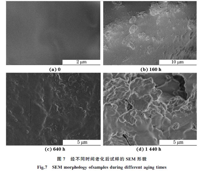 圖７ 經不同時間老化后試樣的SEM 形貌