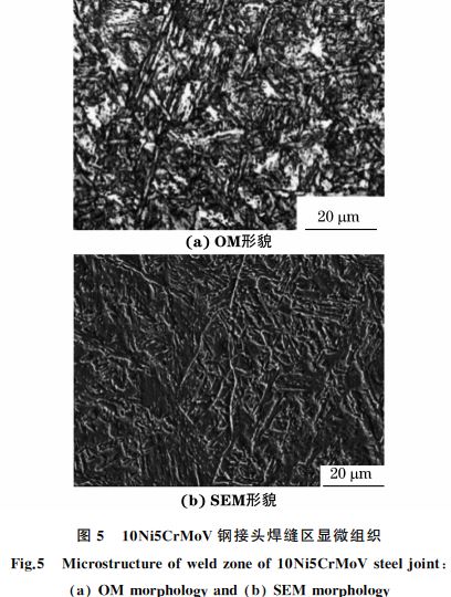 圖５ １０Ni５CrMoV鋼接頭焊縫區顯微組織