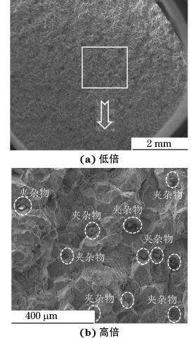 圖２ 斷裂螺栓斷口裂紋源區的SEM 形貌