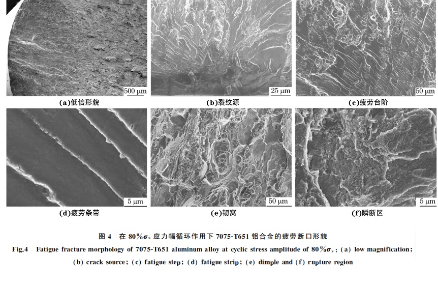 圖４ 在８０％σs 應力幅循環作用下７０７５ＧT６５１鋁合金的疲勞斷口形貌