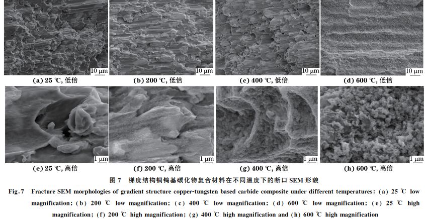 圖７ 梯度結構銅鎢基碳化物復合材料在不同溫度下的斷口SEM 形貌