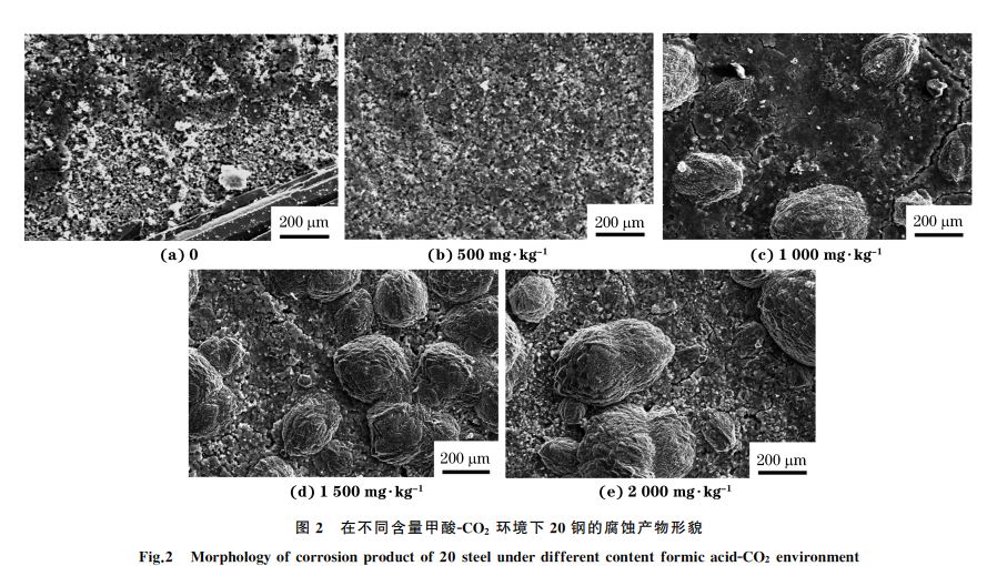 圖２ 在不同含量甲酸ＧCO２ 環境下２０鋼的腐蝕產物形貌