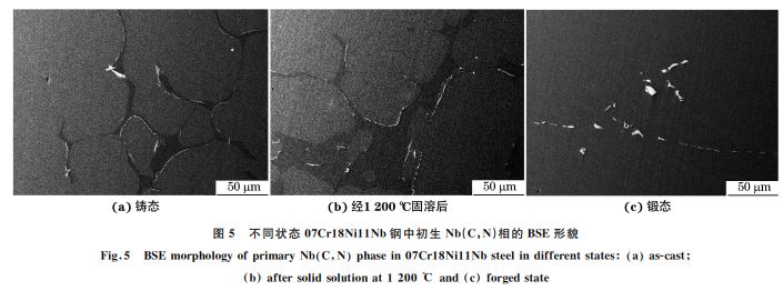 圖5 不同狀態07Cr18Ni11Nb鋼中初生 Nb(C，N)相的 BSE形貌