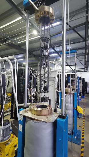 中廣核研究院CGN注鋅項目靜態均勻腐蝕試驗