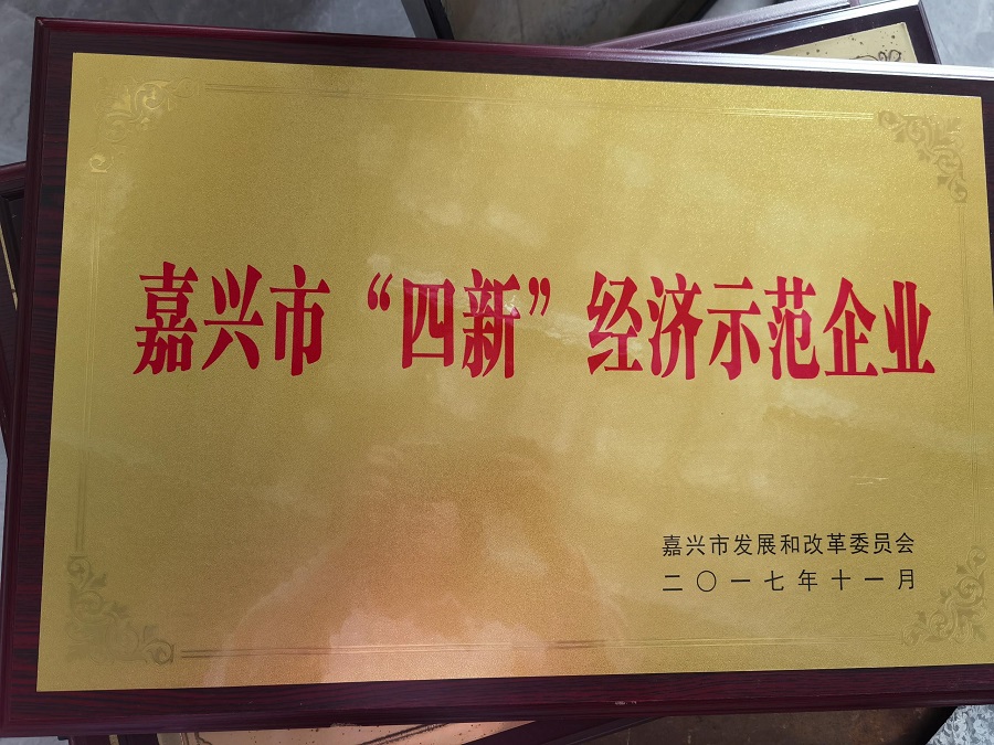 嘉興市“四新”經濟示范企業