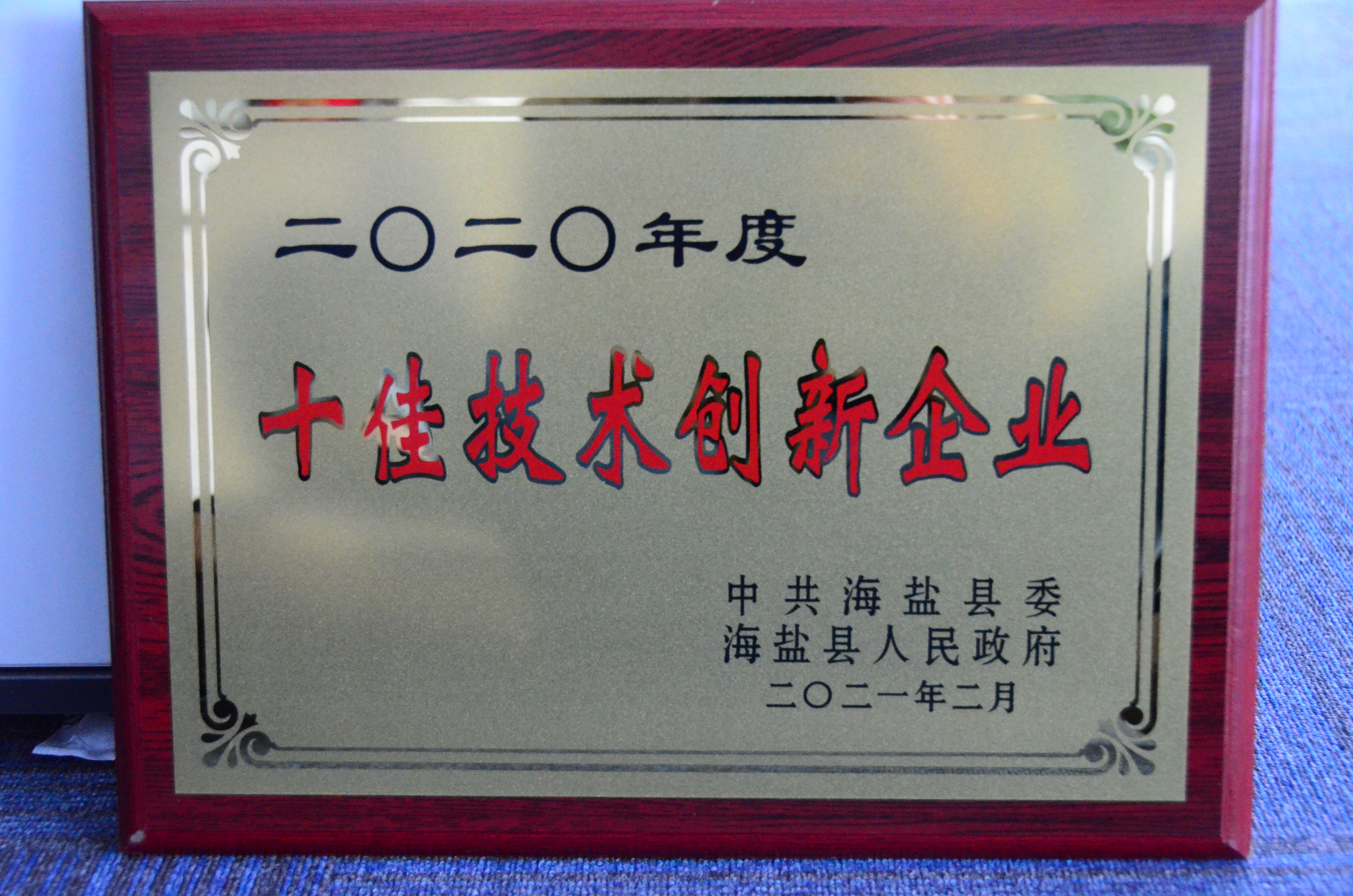 縣級十佳技術創新企業